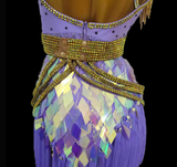 Lilac tassel Latin dance dress