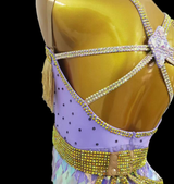 Lilac tassel Latin dance dress