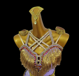Lilac tassel Latin dance dress
