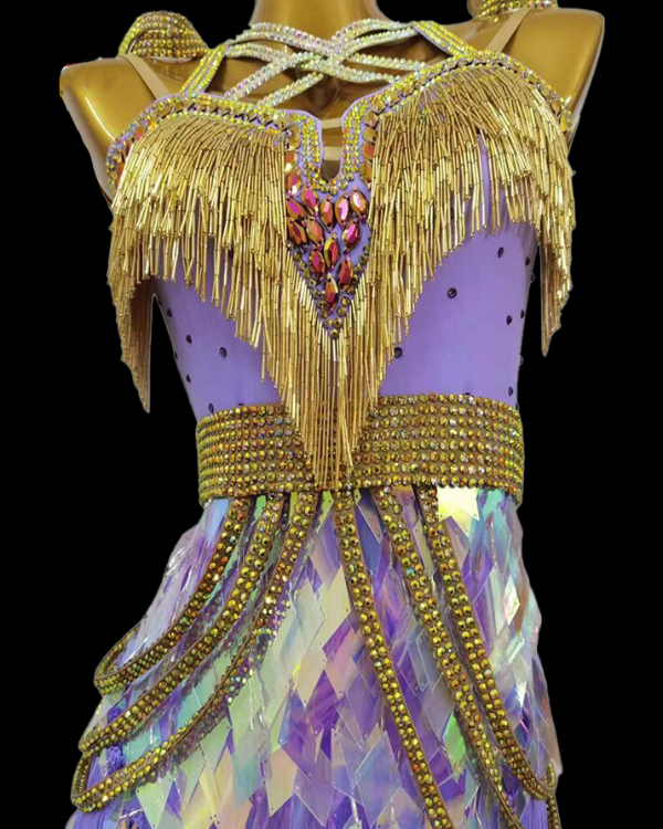 Lilac tassel Latin dance dress