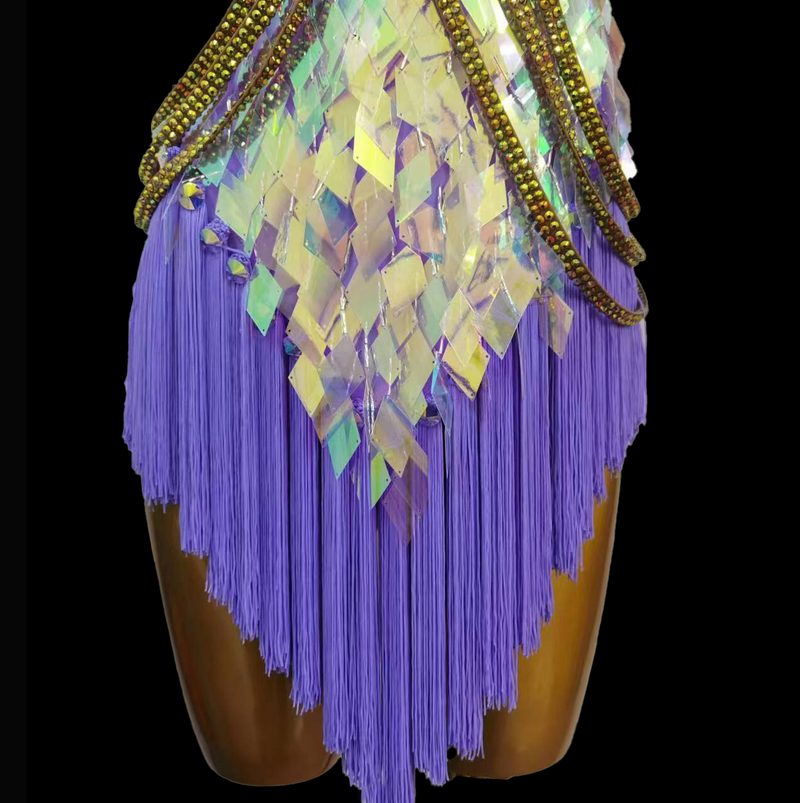 Lilac tassel Latin dance dress