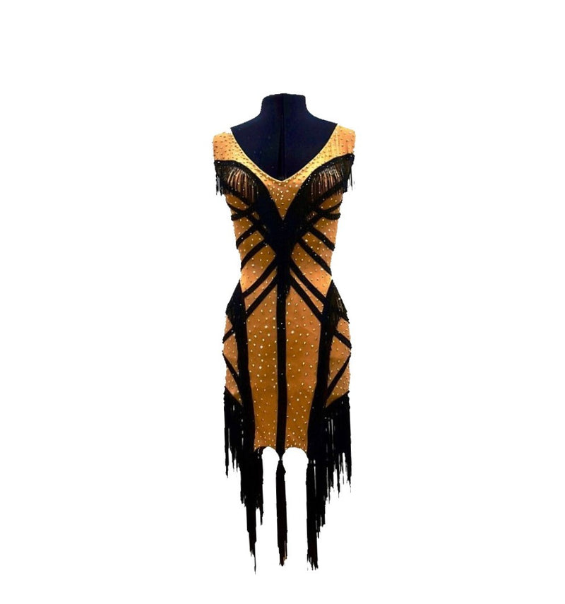 Deep V Tassel Latin Dance Dress