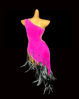 Fuchsia pink finish with cock feather Latin dance costume